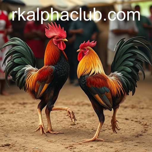 RKALPHA CLUB